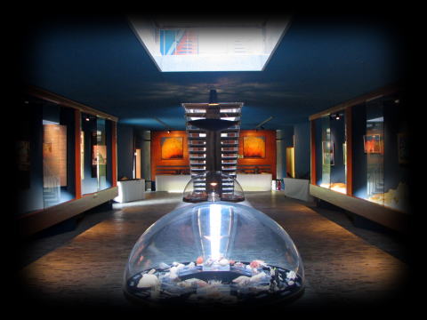 1F�@���C���t���A